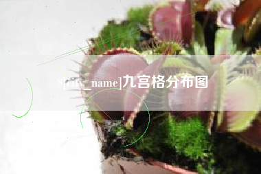 郴州九宫格分布图