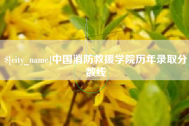郴州中国消防救援学院历年录取分数线