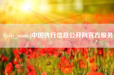 郴州中国执行信息公开网官方服务