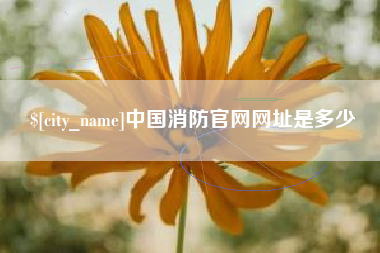 郴州中国消防官网网址是多少