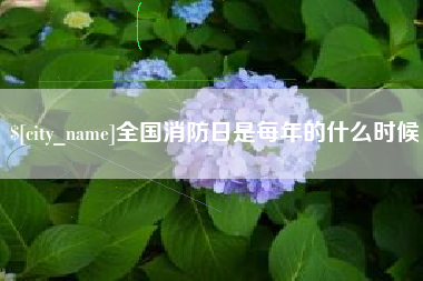 郴州全国消防日是每年的什么时候