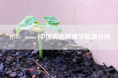 郴州中国消防救援学院录分线