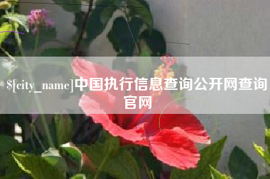 郴州中国执行信息查询公开网查询官网