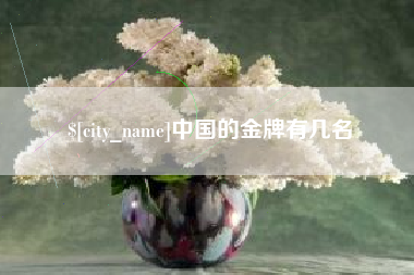 郴州中国的金牌有几名