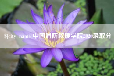 郴州中国消防救援学院2020录取分