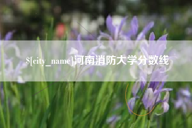 郴州河南消防大学分数线