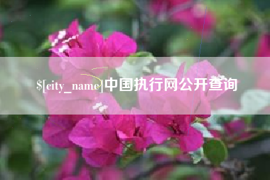 郴州中国执行网公开查询