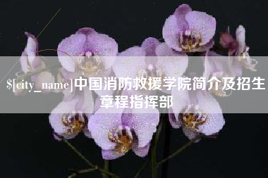 郴州中国消防救援学院简介及招生章程指挥部