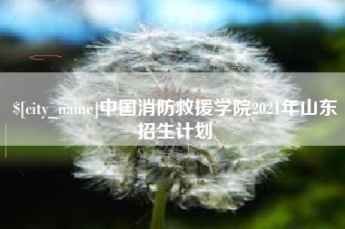 郴州中国消防救援学院2021年山东招生计划