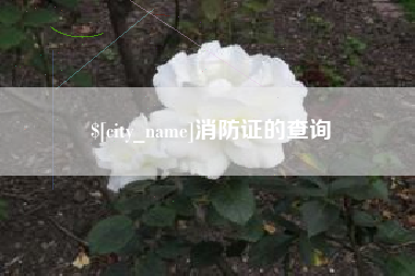 郴州消防证的查询