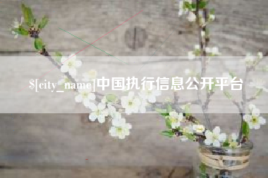 郴州中国执行信息公开平台
