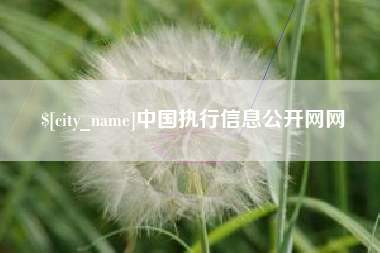 郴州中国执行信息公开网网