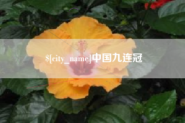 郴州中国九连冠