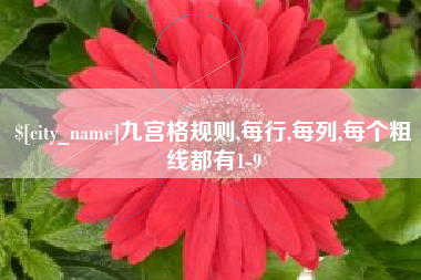 郴州九宫格规则,每行,每列,每个粗线都有1-9
