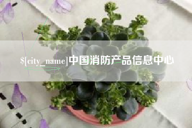 郴州中国消防产品信息中心