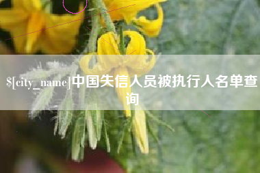 郴州中国失信人员被执行人名单查询