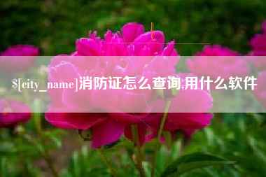 郴州消防证怎么查询,用什么软件