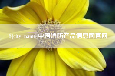 郴州中国消防产品信息网官网