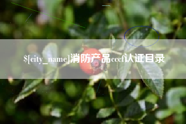 郴州消防产品cccf认证目录
