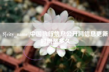 郴州中国执行信息公开网信息更新时间是多久