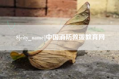 郴州中国消防救援教育网