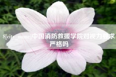 郴州中国消防救援学院对视力要求严格吗