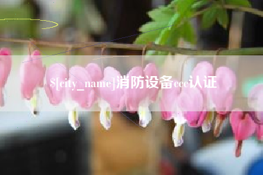 郴州消防设备ccc认证