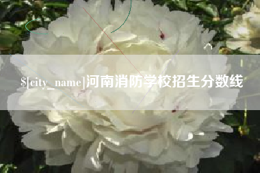郴州河南消防学校招生分数线