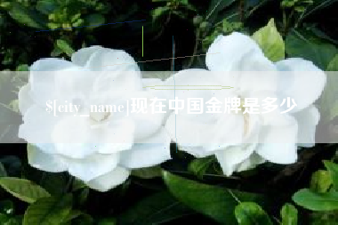 郴州现在中国金牌是多少