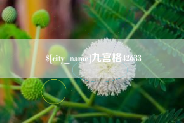 郴州九宫格42633