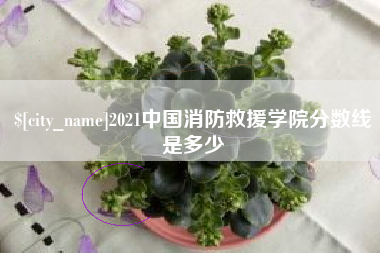 郴州2021中国消防救援学院分数线是多少