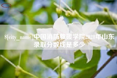 郴州中国消防救援学院2021年山东录取分数线是多少