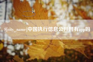 郴州中国执行信息公开网有app吗