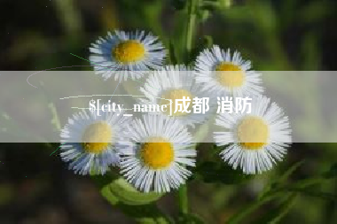郴州成都 消防
