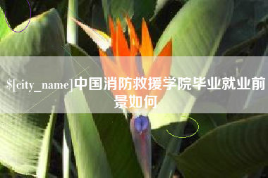 郴州中国消防救援学院毕业就业前景如何