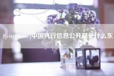 郴州中国执行信息公开网是什么东西