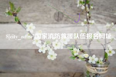 郴州国家消防救援队伍报名网址