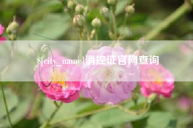 郴州消控证官网查询