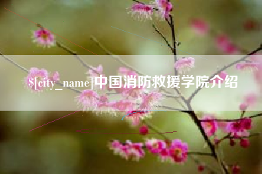 郴州中国消防救援学院介绍