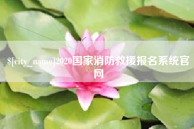 郴州2020国家消防救援报名系统官网