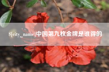 郴州中国第九枚金牌是谁得的