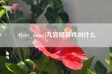 郴州九宫格游戏叫什么