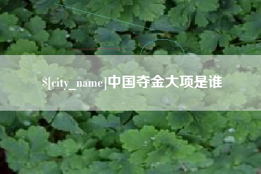 郴州中国夺金大项是谁