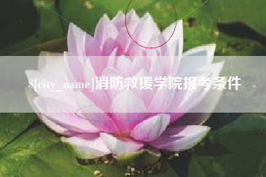 郴州消防救援学院报考条件