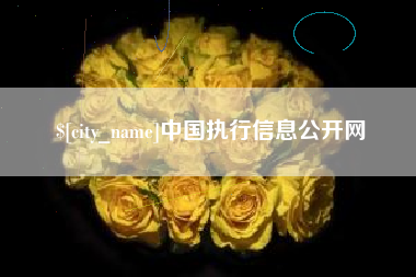 郴州中国执行信息公开网