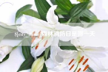 郴州森林消防日是哪一天