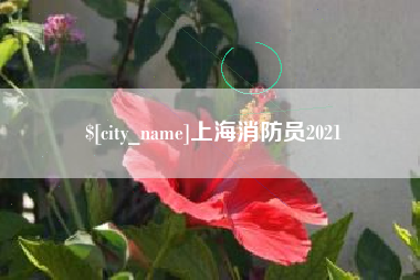 郴州上海消防员2021