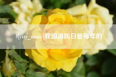 郴州我国消防日是每年的