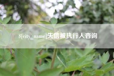 郴州失信被执行人杳询