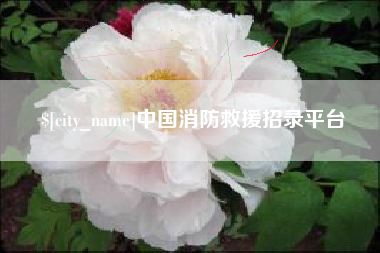 郴州中国消防救援招录平台